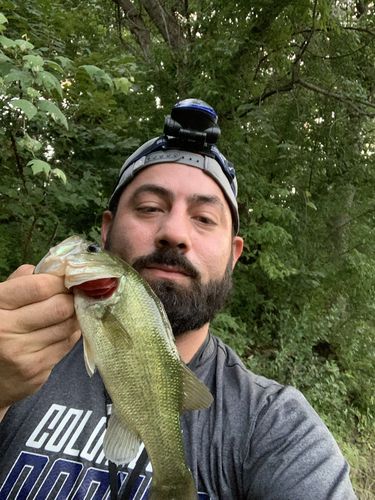 Customer photo review of Headbanger Spitfire 4.5"