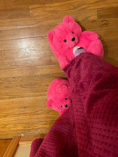 Customer photo review of Teddy Bear Home Plush Cotton Slippers