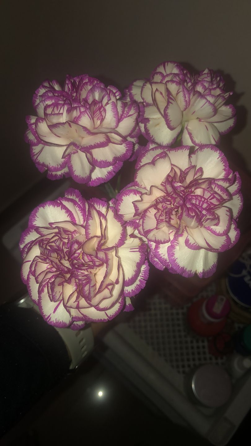 Customer photo review of Subscribe to Cut Flowers - Basics