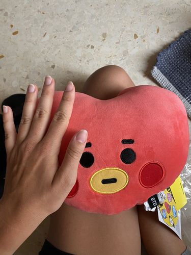 Customer photo review of [Official] BT21 BABY MINI FLAT FACE CUSHION