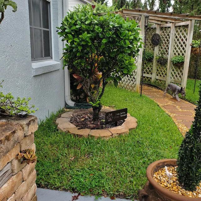 Customer photo review of Custom Garden Sign | Garden Sign | Personalized Garden Sign | Garden |  Garden Stake | Garden Art | Metal Yard Art