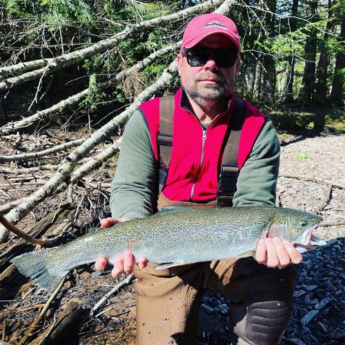 Customer photo review of Custom Travel Rod