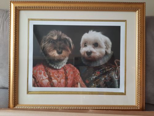 Customer photo review of The Duchess & The Knight  – Custom Vintage Pet Portrait