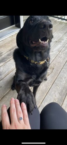 Customer photo review of Custom Paw Ring