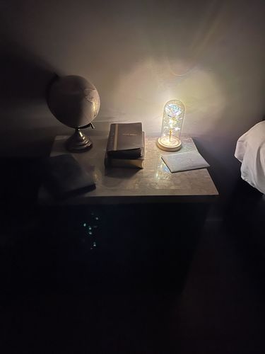 Customer photo review of Galaxy Rose