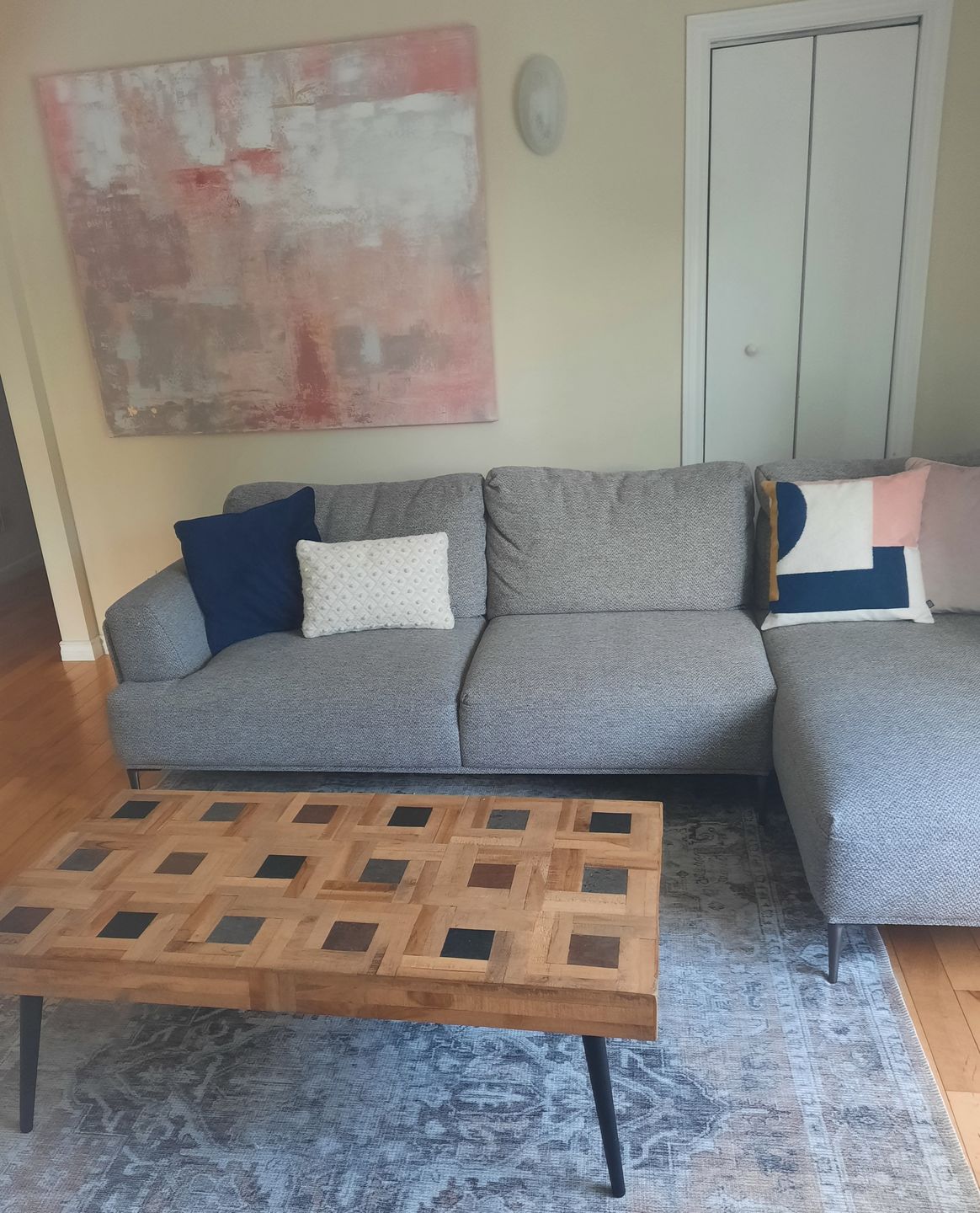 Customer photo review of Distressed Vintage Cezanne Blush Area Rug