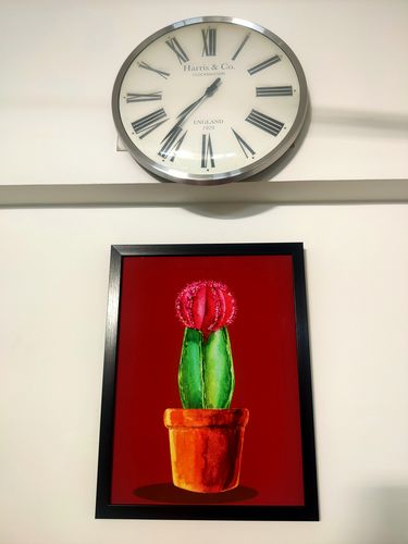 Customer photo review of Crimson Succulent