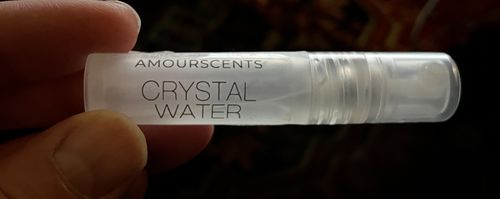 Customer photo review of Alien (Inspired) - Abduction