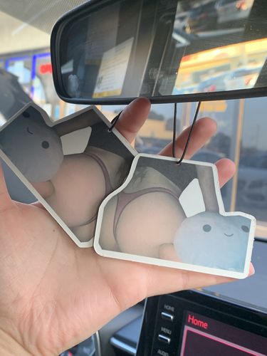 Customer photo review of Two Custom Air Fresheners