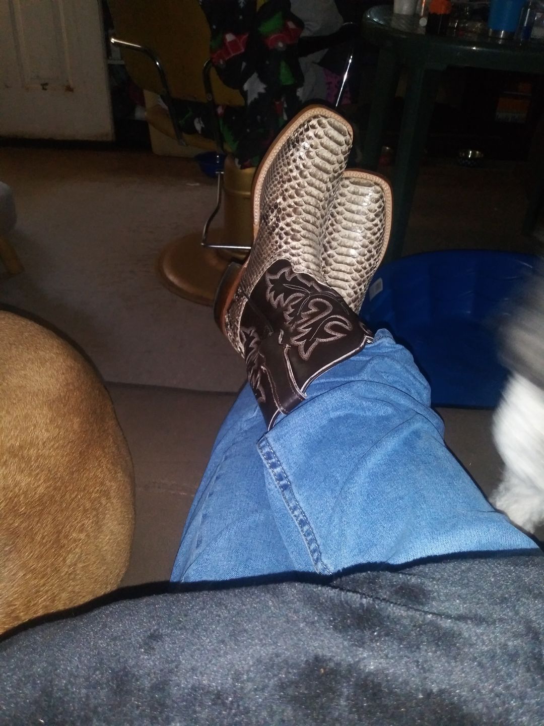 Customer photo review of Cowtown Men’s Square Toe Python Boot Q818