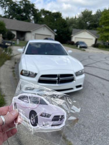 Customer photo review of Two Custom Air Fresheners