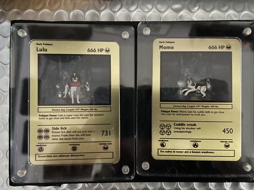 Customer photo review of Acrylic Case