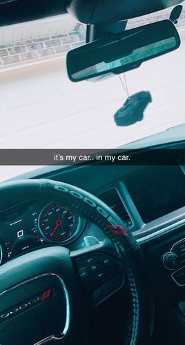 Customer photo review of One Custom Air Freshener