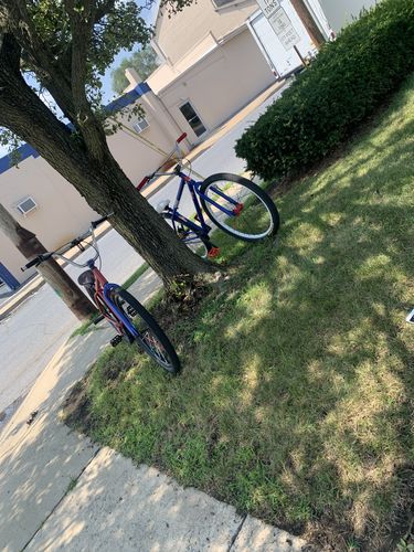 Customer photo review of Framed x MLB Twenty9er BMX Bike - 29"