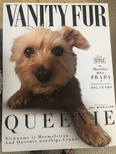Customer photo review of Posing Pig Custom Print