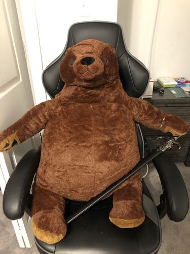 Customer photo review of SKOGGY BEAR
