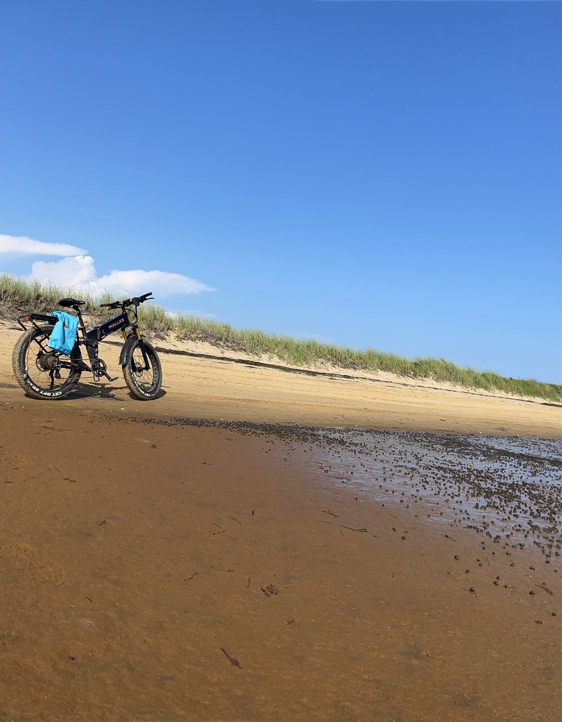 Customer photo review of Wallke adjustable aluminium alloy kickstand