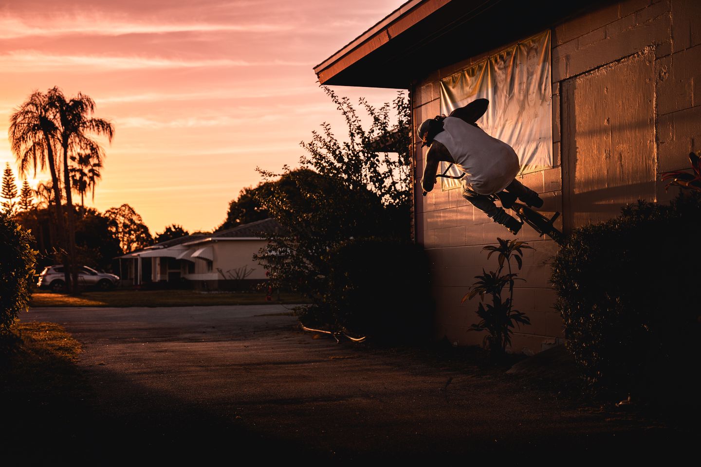 Customer photo review of Beastgrip Pro + Kenko 0.75X Wide Angle Lens Bundle