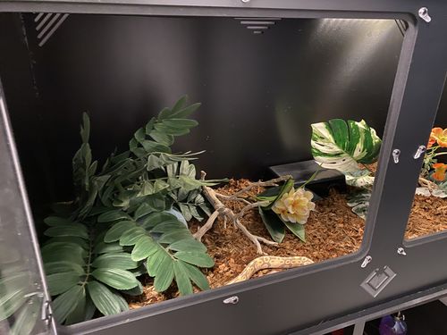 Customer photo review of XT4 (48Lx24Dx24H) - STACKABLE