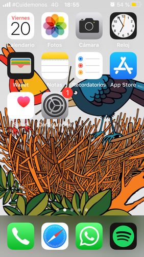 Customer photo review of Fondos de pantalla para tu celular