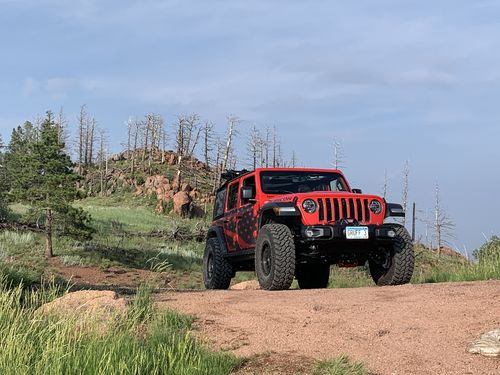 Customer photo review of MEK Magnet Armor: JLU