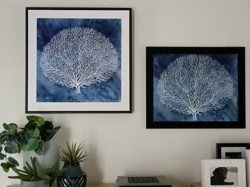 Customer photo review of Coral Of Life