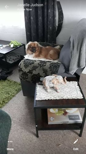 Customer photo review of Ada Fabric Recliner 1/2/3 Seat