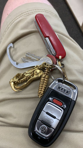 Customer photo review of Rattlesnake Keychain  | Brass