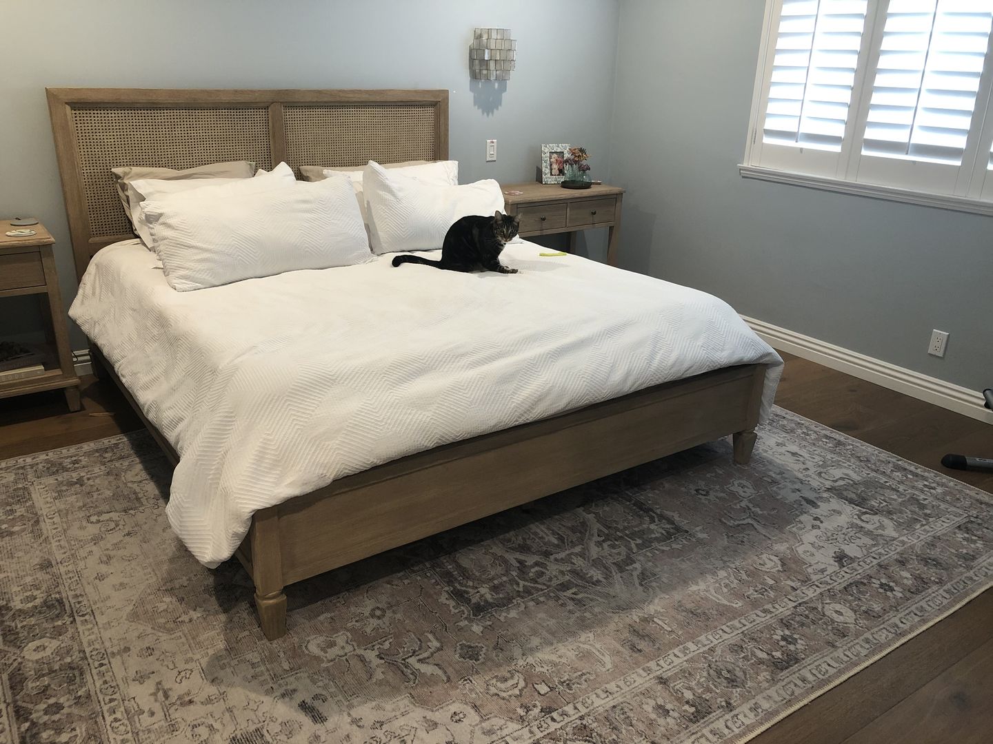 Customer photo review of Distressed Vintage Cezanne Blush Area Rug
