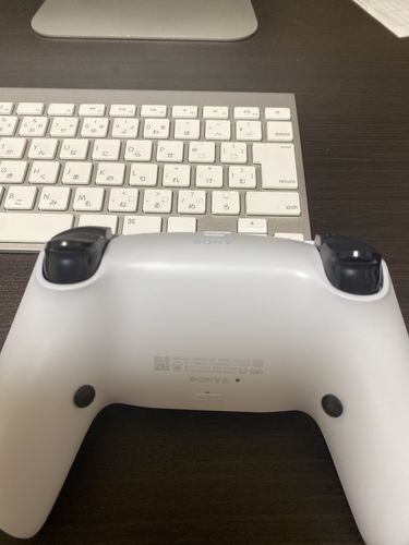 Customer photo review of 送り込みサービス - PS5 コントローラー