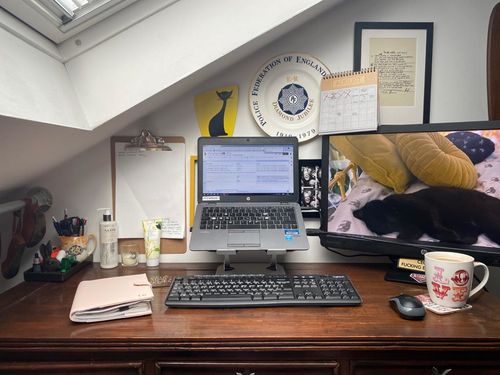 Customer photo review of Laptop Stand | Home Office Edition