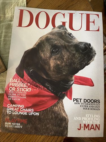 Customer photo review of Posing Pig Custom Print