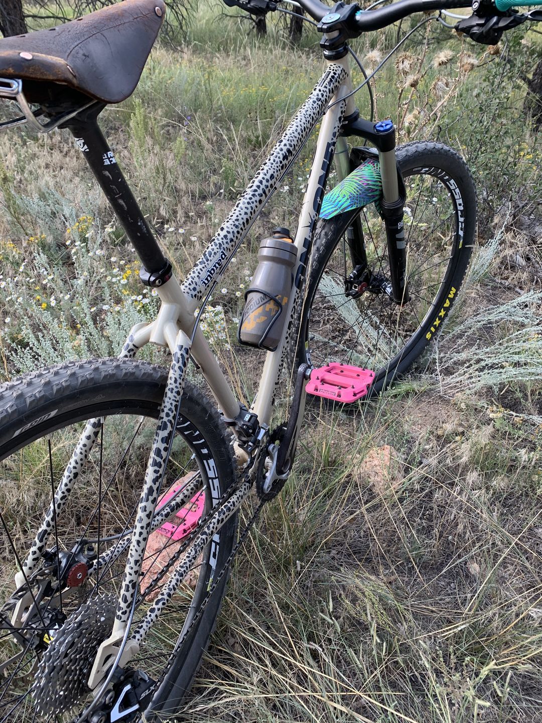 Customer photo review of Cheetah Frame Keeper