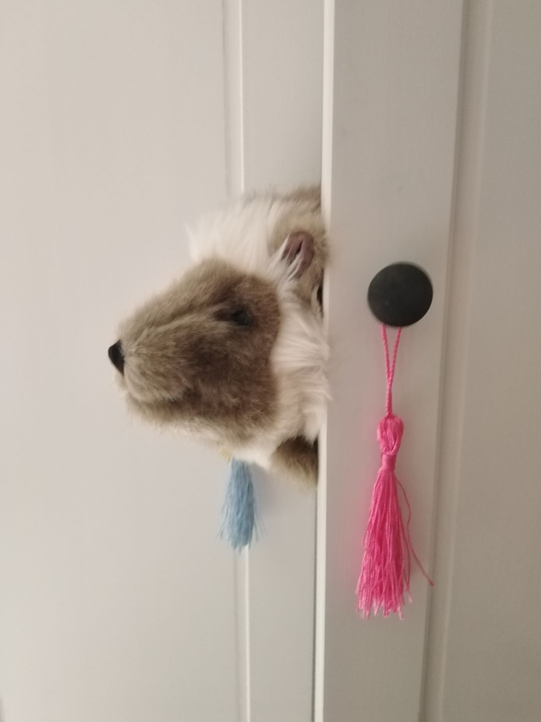 Customer photo review of Ma peluche Hérisson Alfred
