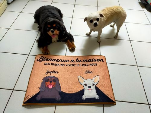 Customer photo review of Tapis Personnalisé "Bienvenue à la maison"