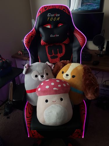 Customer photo review of Pewdiepie LED 100M Edition