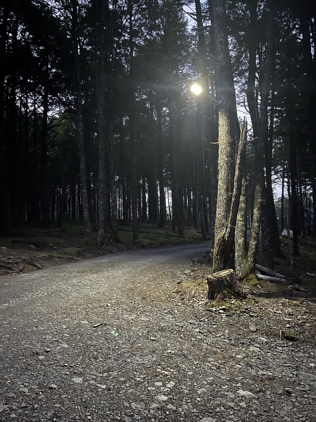 Customer photo review of 140W Solar Street Light 14000 Lumens