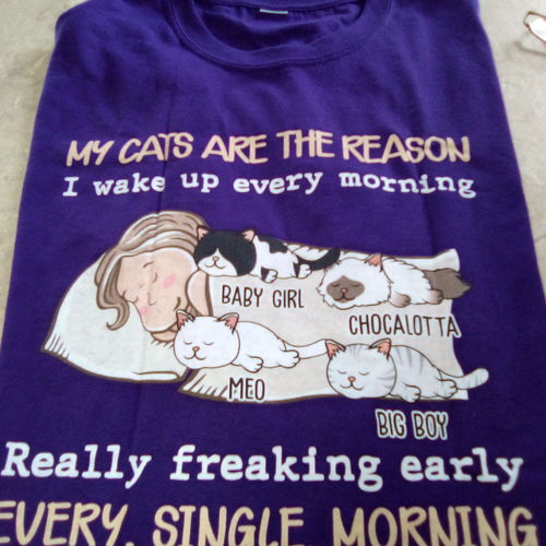 Customer photo review of My Cat Is The Reason  - Personalized Custom Unisex T-shirt