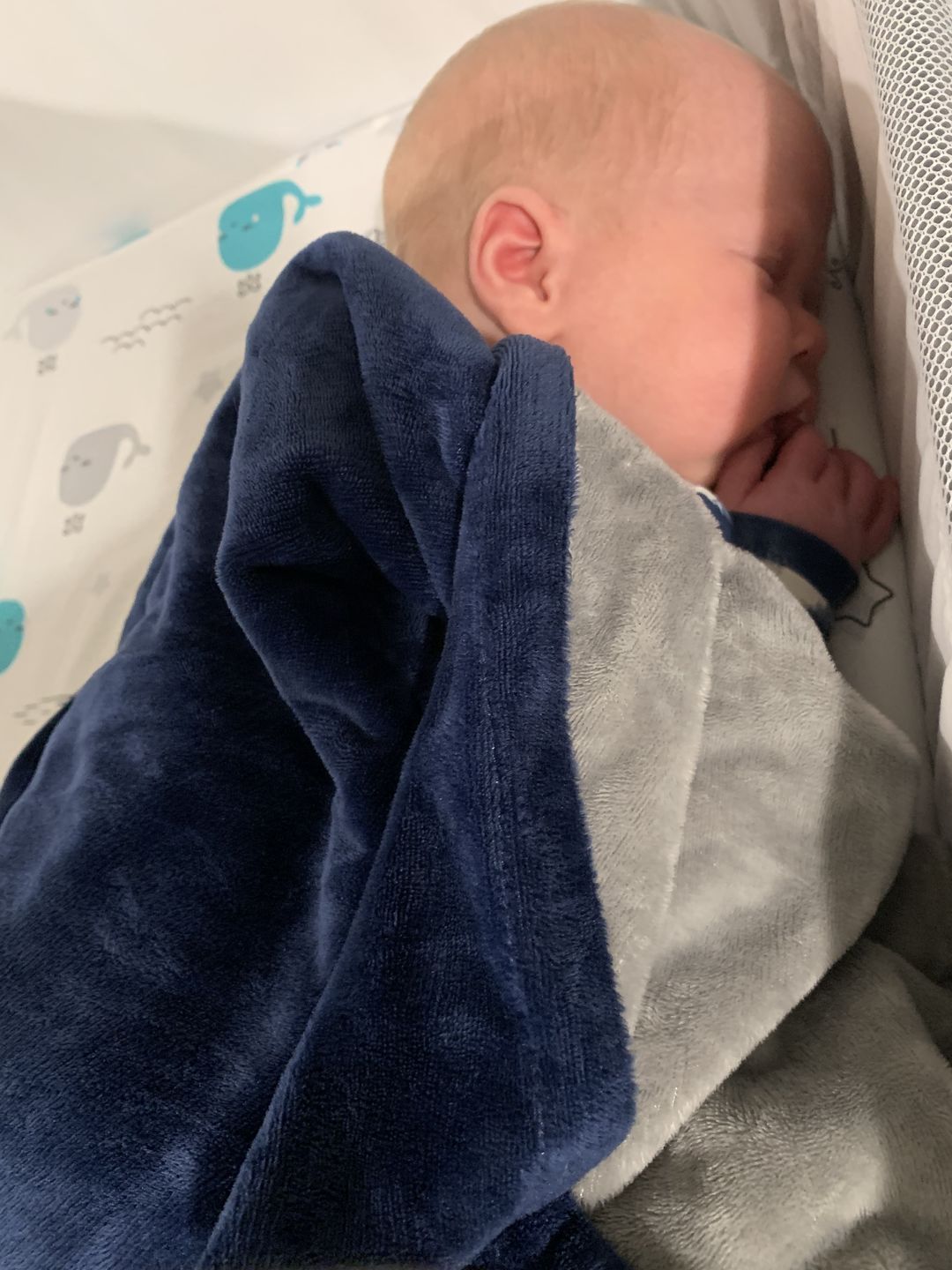 Customer photo review of Minky Bee  Stroller Blanket Grey/Navy