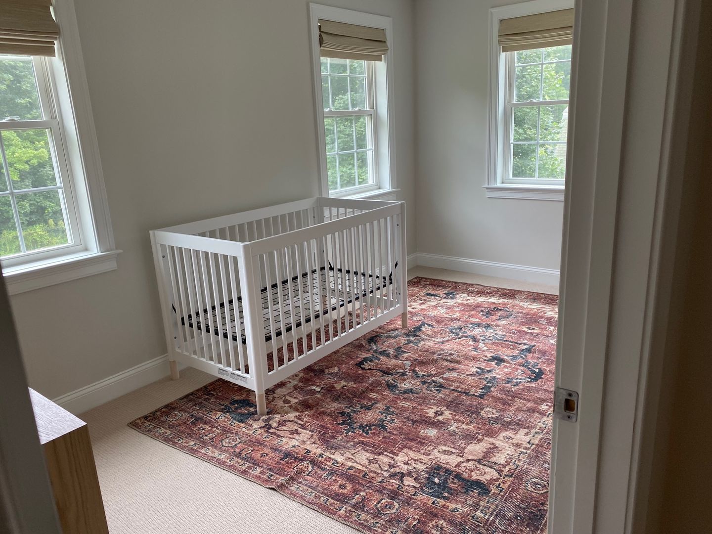 Customer photo review of Distressed Vintage Cezanne Terracotta Area Rug