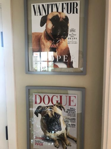 Customer photo review of Posing Pig Custom Print