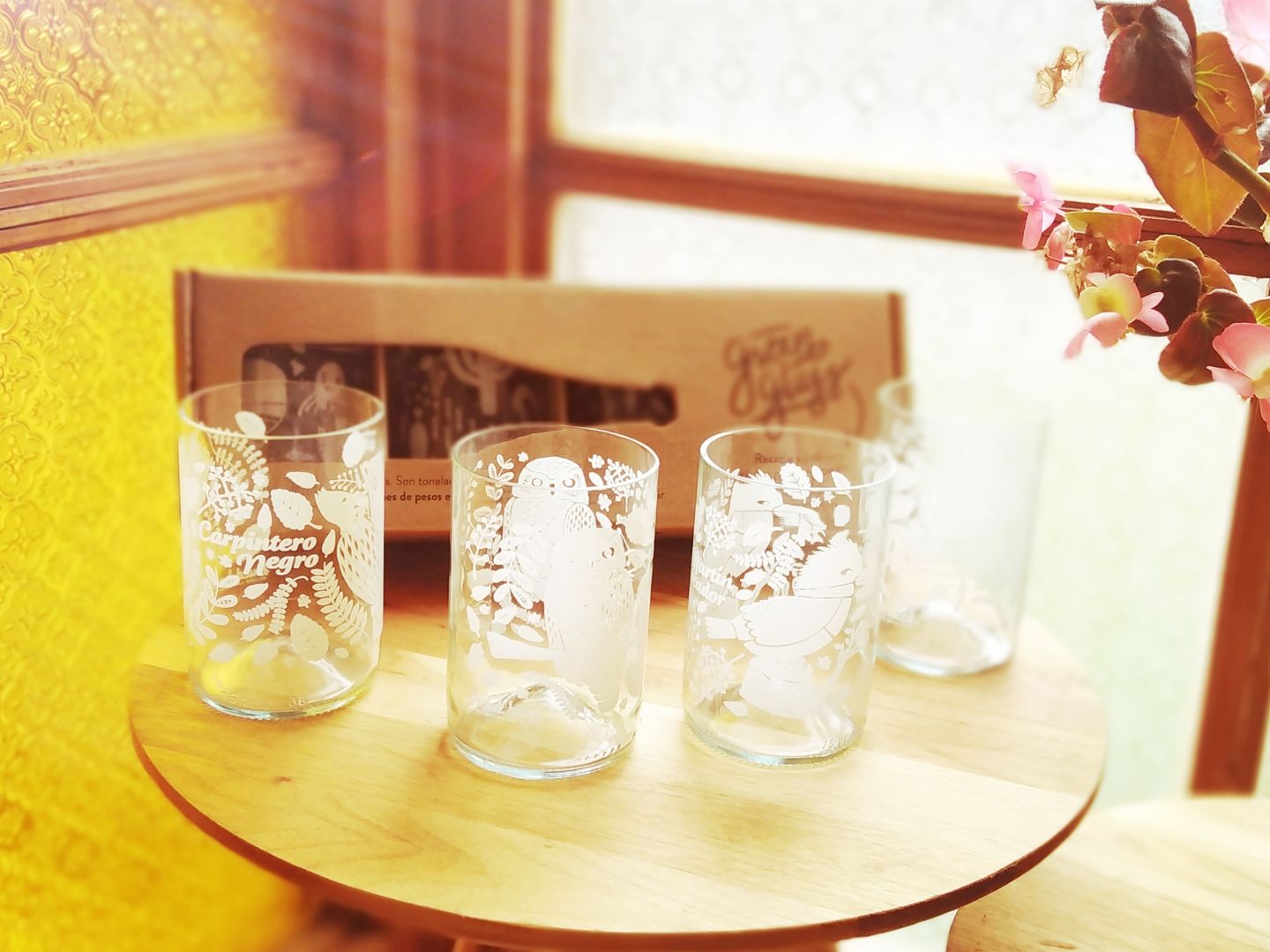 Customer photo review of Aves de Chile Juego de 4 Vasos