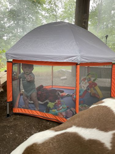 Customer photo review of Pop N' Go® Playpen