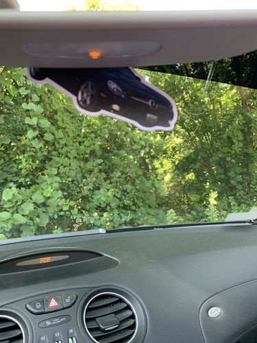 Customer photo review of Two Custom Air Fresheners