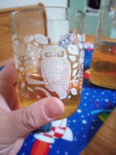 Customer photo review of Aves de Chile Mini