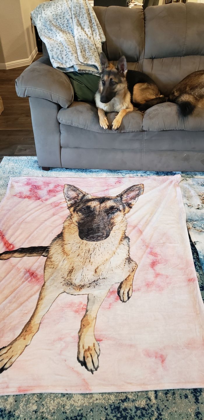 Customer photo review of Custom Pet Art Fleece Blanket