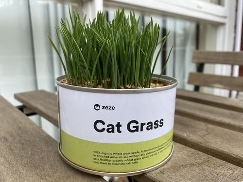 Customer photo review of Organic Home-Grown Cat Grass