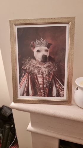 Customer photo review of The Queen - Custom Vintage Pet Portrait