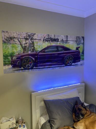 Customer photo review of Nissan Skyline R34 GTR Workshop Flag