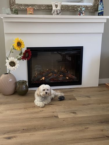 Customer photo review of Modern Flames Redstone 36" Built In Electric Firebox Insert
